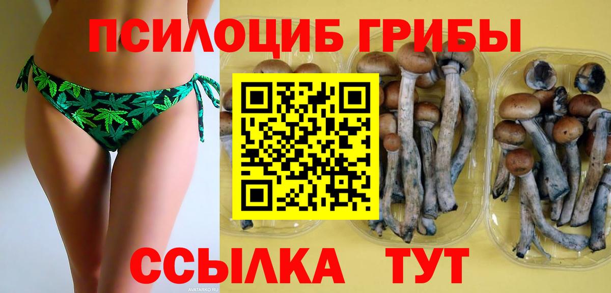 Троицк  Галлюциногенные грибы Magic Shrooms  Вход с VPN  Псилоцибиновые грибы Psilocybe 