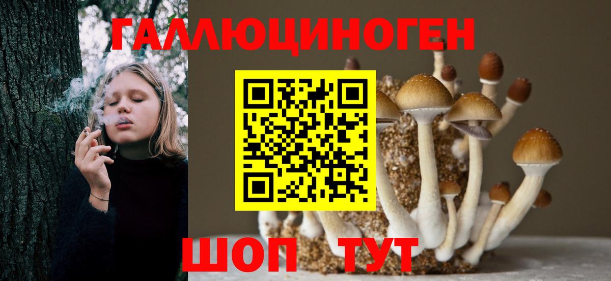 Псилоцибиновые грибы прущие грибы Троицк